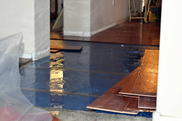 Professional Emergency Water Damage Restoration technician working in Warren, OH
